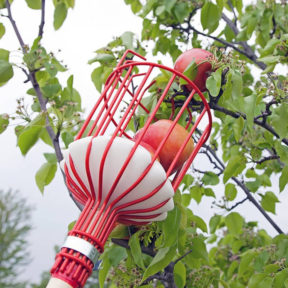 میوه چین مدل سبدی ( بدون دسته)